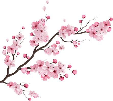 Contact Us Decoration